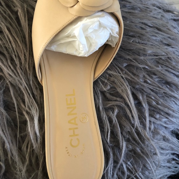 Flats - Picture 10 of 12